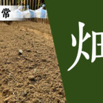 Thumbnail of related posts 193