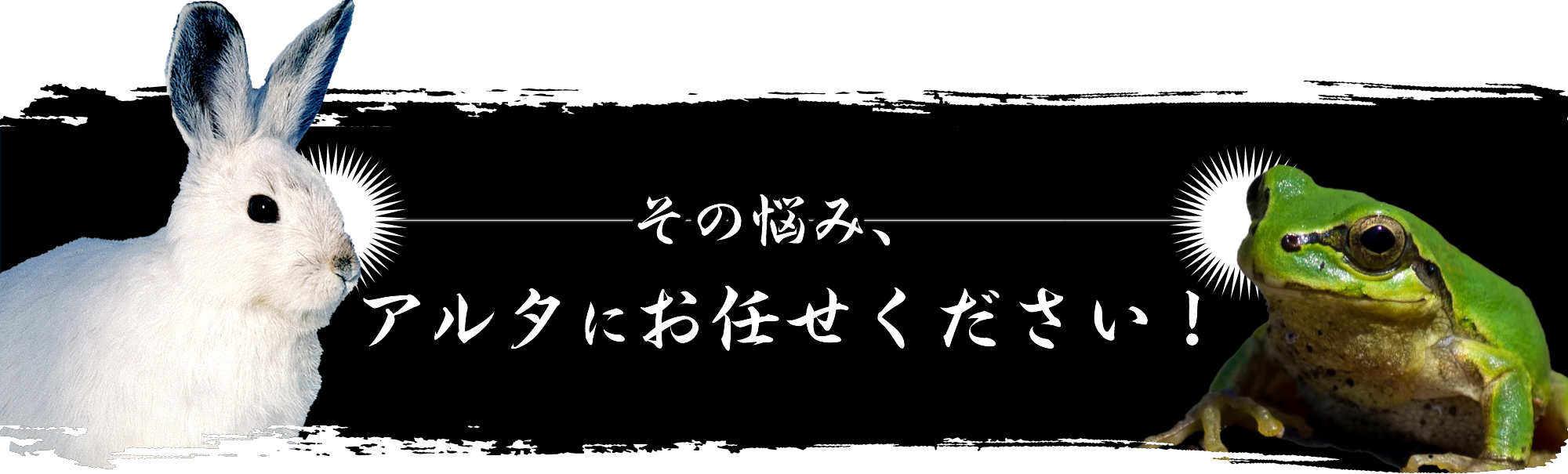 その悩み、アルタにお任せください！